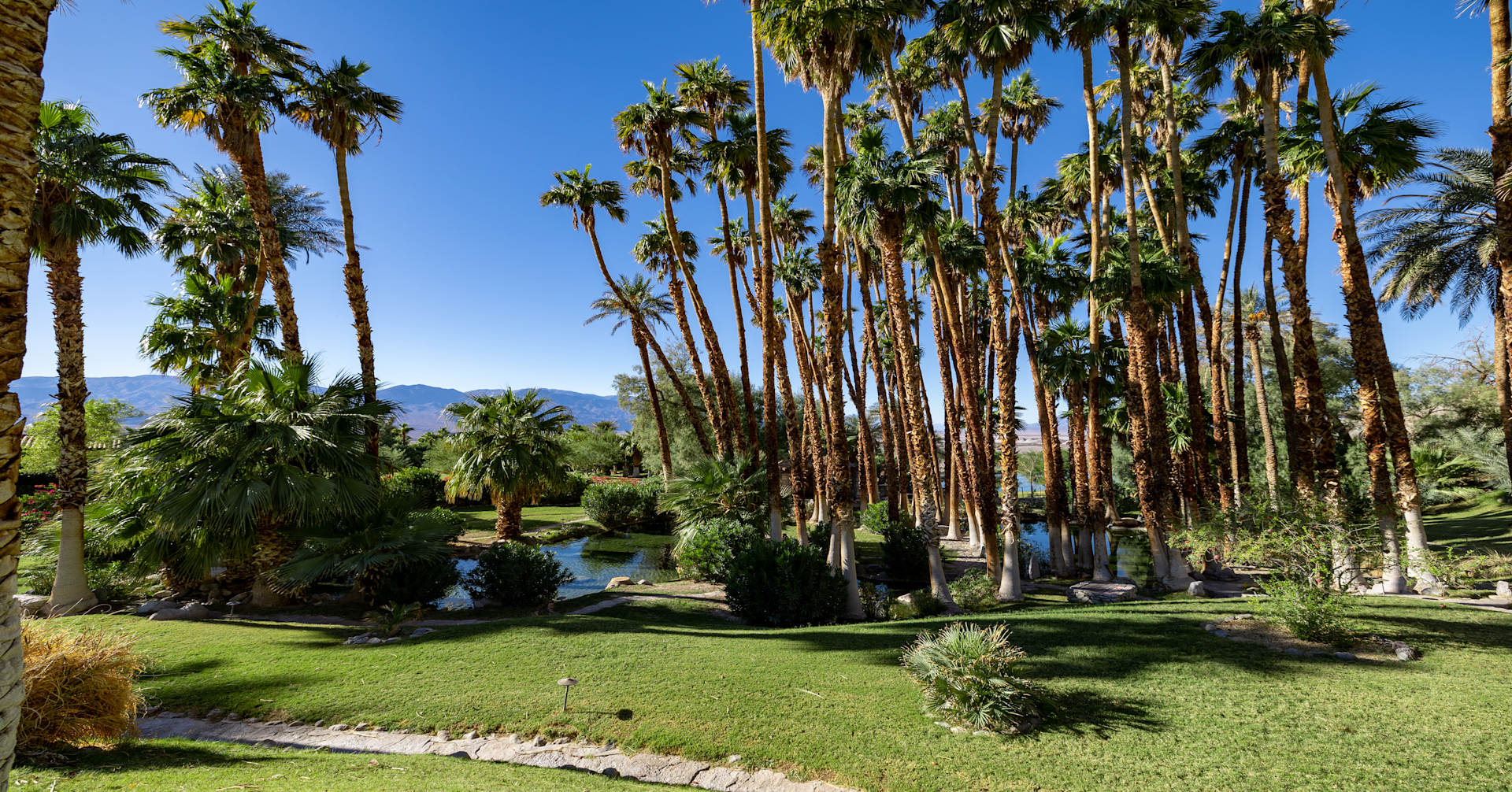 Inn Gardens